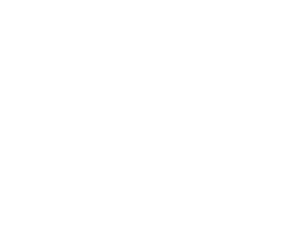 Logo de Twitter en blanc